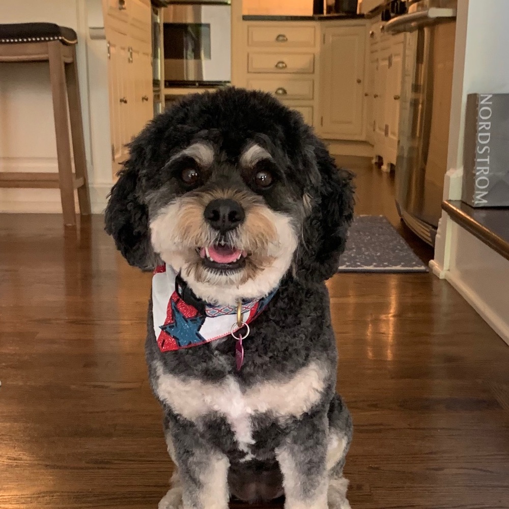 Meet your Posher, Danielle